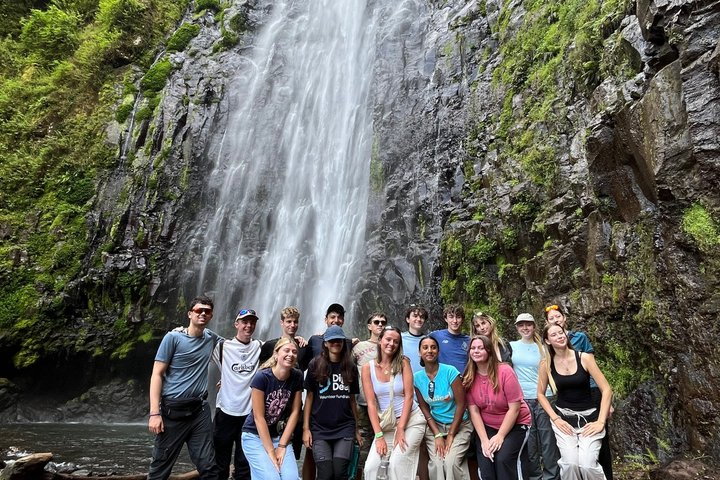 Materuni Waterfall, Coffee Tour and Picnic Hot Lunch - Photo 1 of 15