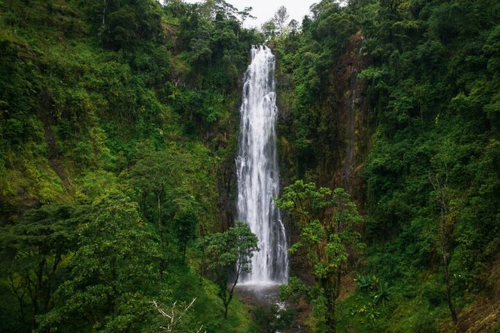 Materuni Waterfall Hike & Coffee Tour - Photo 1 of 14