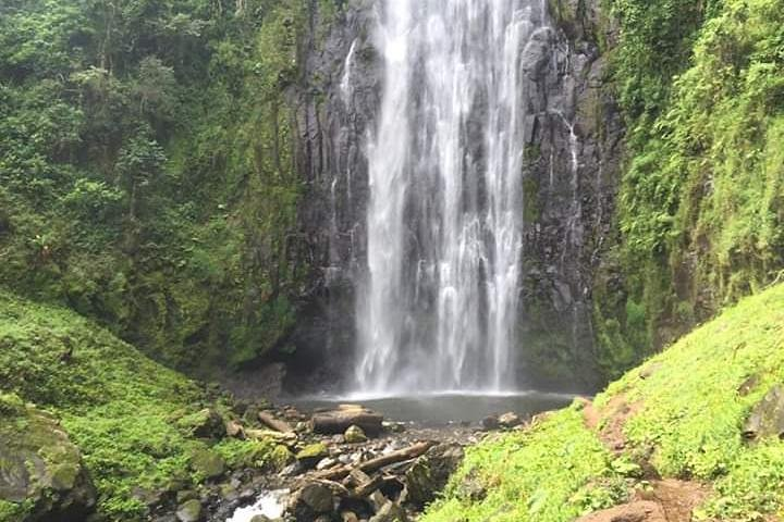 Full day in materuni waterfall and coffee tour with local food - Photo 1 of 25