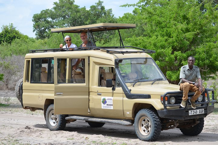 our safari van