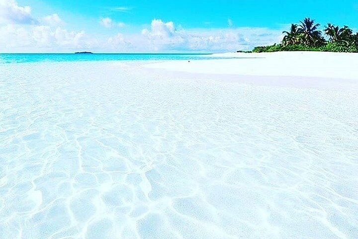 Mnemba Island Snorkeling, Kuza Cave Tour, Blue Lagoon Snorkeling Tour, Starfish Adventure, The Rock Restaurant