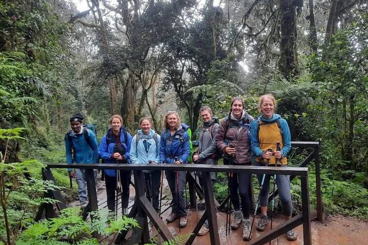 Mount Kilimanjaro Day Hike Through Marangu Route to Mandara Hut - Photo 1 of 7