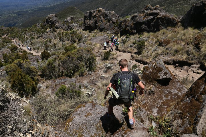 Mount Kilimanjaro Day Hike - Photo 1 of 6