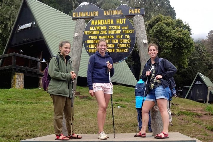 Mount Kilimanjaro Day Hike  - Photo 1 of 6