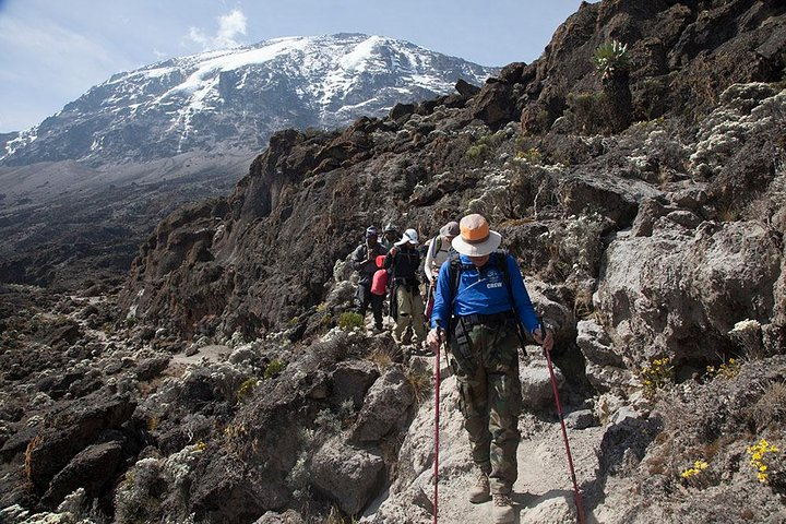 Mount Kilimanjaro Day Trip Hiking from Arusha or Moshi - Photo 1 of 2