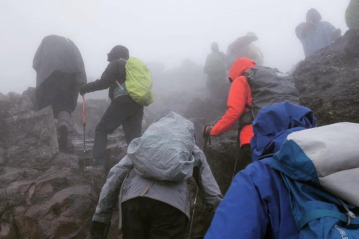 Mt. Kilimanjaro Day Hiking - Photo 1 of 6