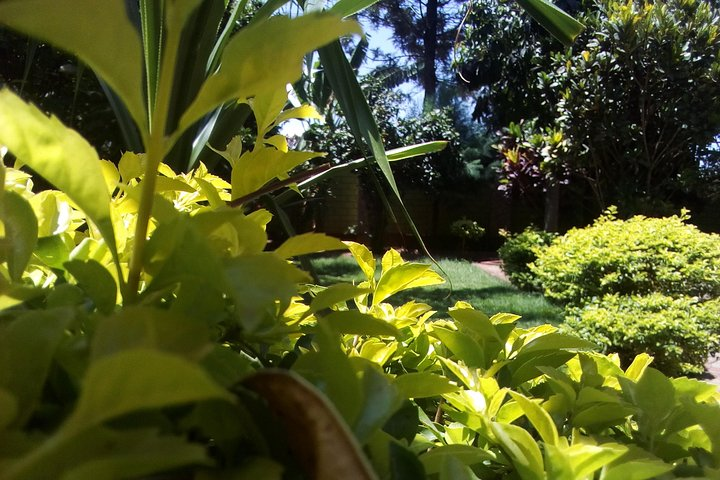 6 Days Climbing Mt.Kilimanjaro (Lemosho route) - Photo 1 of 6