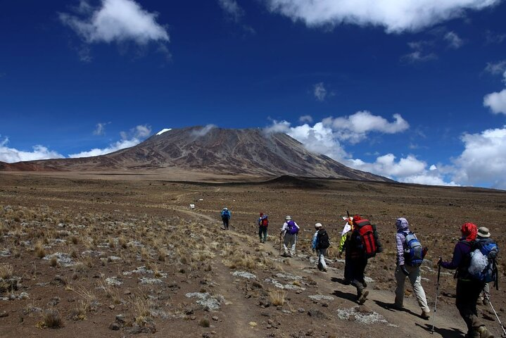 Multi-Day Tour RONGAI Route Kilimanjaro Trekking - Photo 1 of 12