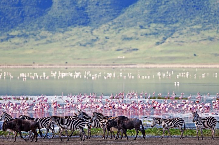 Ngorongoro Crater -Best safari - Photo 1 of 5