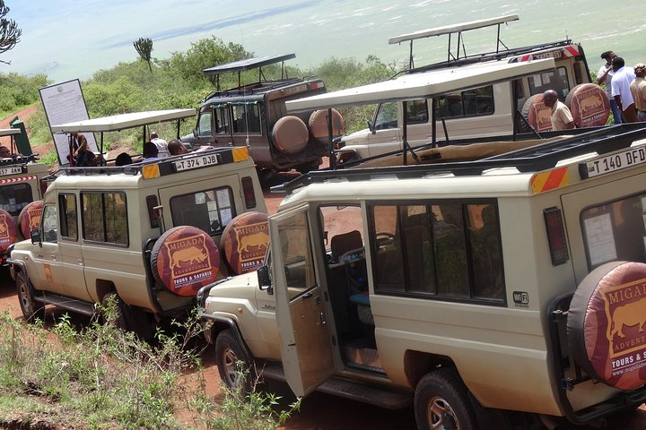 Ngorongoro Crater Day Tour - Photo 1 of 6