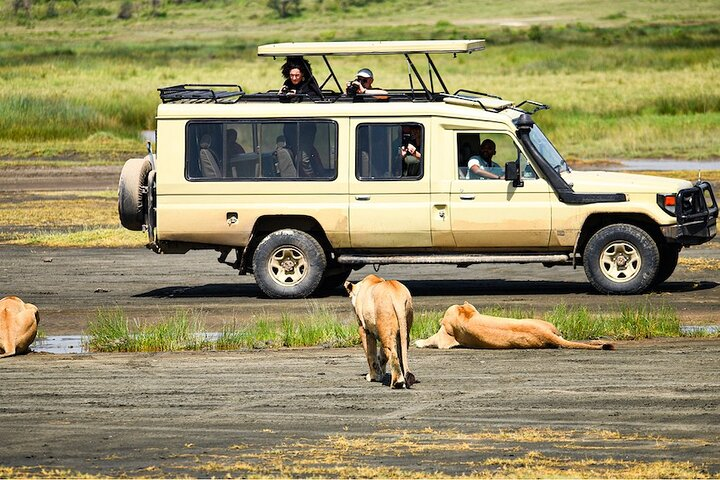Ngorongoro Crater Day Trip With Pick Up - Photo 1 of 15
