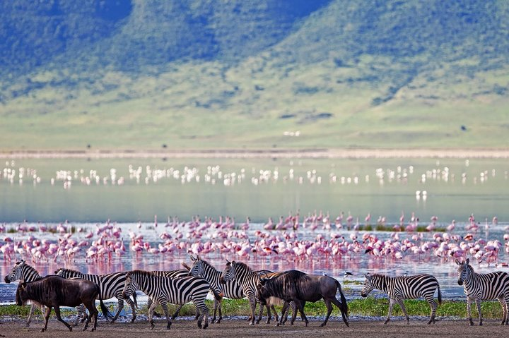 Ngorongoro Crater Day Trip - Photo 1 of 7