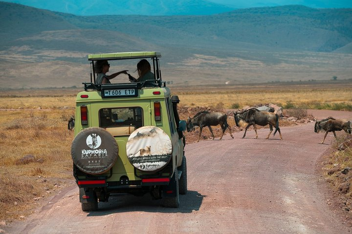 Ngorongoro Crater Day Trip - Photo 1 of 16