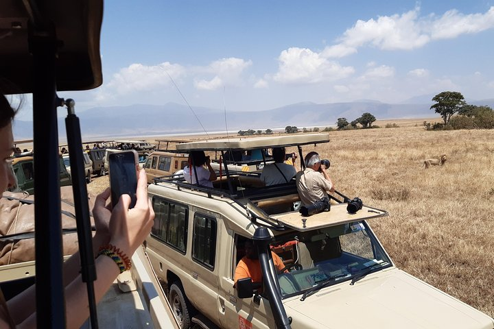 1 Day Private Ngorongoro Crater Safari - Photo 1 of 8