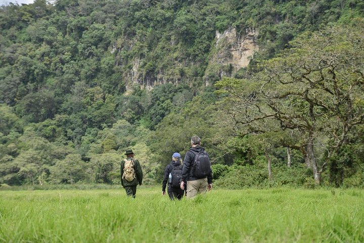 Ngurdoto Crater (Mount Meru) Full-day Tour - Photo 1 of 6