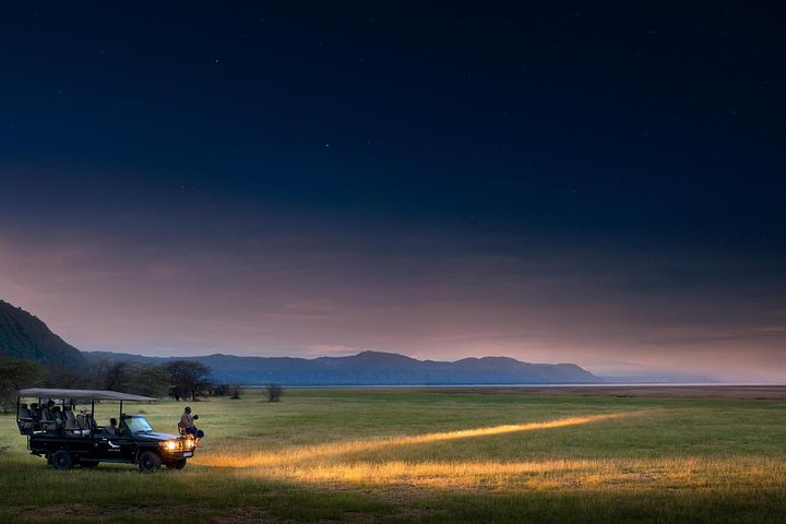 Night Game Tour In Lake Manyara National Park - Photo 1 of 6