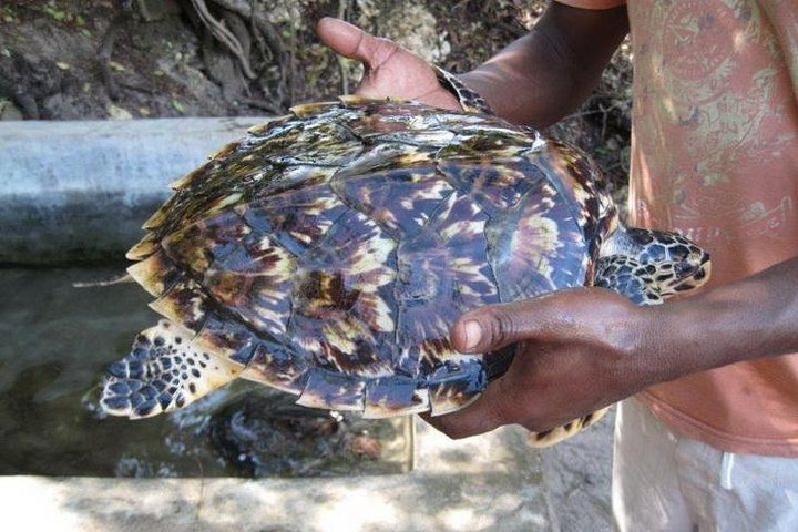 Nungwi fishing village - Photo 1 of 25
