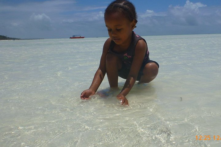 Paje Beach & Blue Lagoon Half Day Tour in Zanzibar - Photo 1 of 8