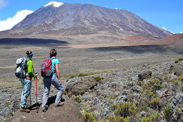 Private 1 Day Hike in Kilimanjaro Mountain - Photo 1 of 8