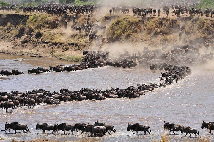Private 14-Day Tanzania Wildebeest Migration Tour in Serengeti - Photo 1 of 13