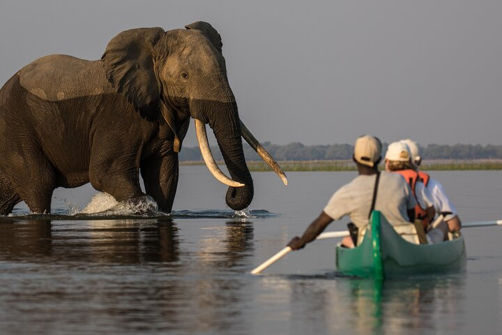 "In the company of giants: Elephants roam freely at Lake Duluti."