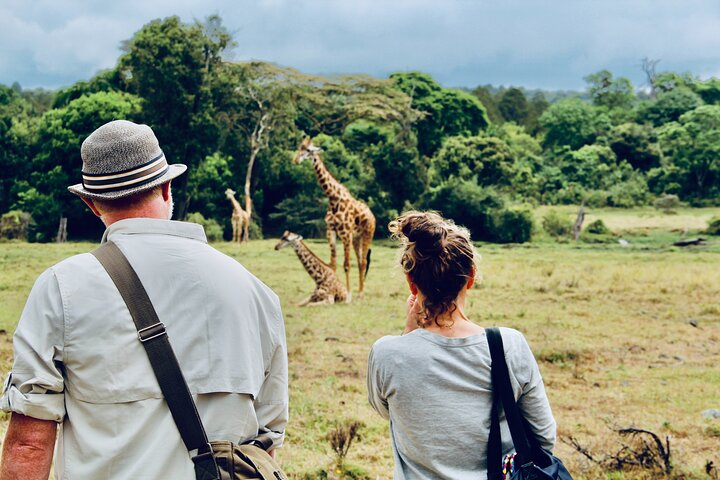 Private Day Trip to Arusha National Park with a Walking Safari - Photo 1 of 7