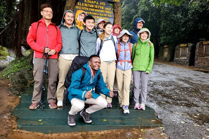 Private Full Day Hiking Experience to Marangu Route - Photo 1 of 25