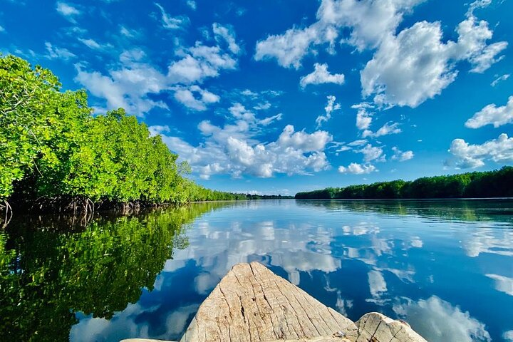 Private Full Day Trip Exploring the Zanzibar Nature - Photo 1 of 25