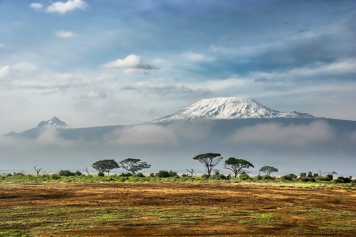 Kilimanjaro Half-Day Hike - Photo 1 of 7
