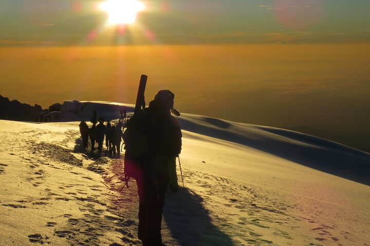 6-Day Kilimanjaro Rongai: The Quiet Northern Wilderness Route - Photo 1 of 9