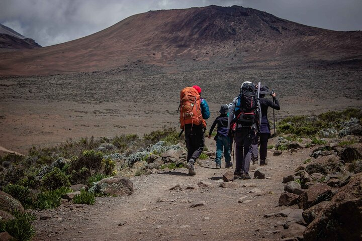 Private Multi-Day Hiking Tour in Lemosho Route, Kilimanjaro - Photo 1 of 5
