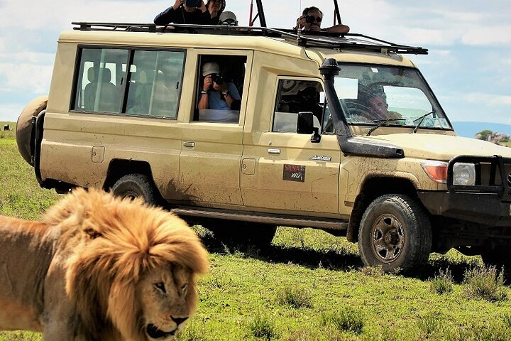 Private Multi Day Serengeti Safari - Photo 1 of 6
