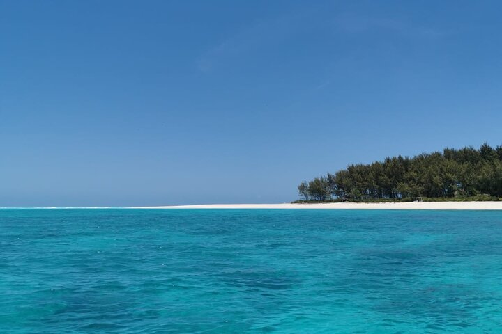 Private Ocean Safari  - Photo 1 of 13