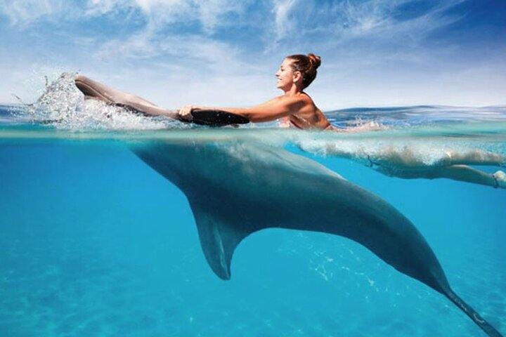 Private Full-Day: Dolphin & Monkey Jungle Adventure - Photo 1 of 9