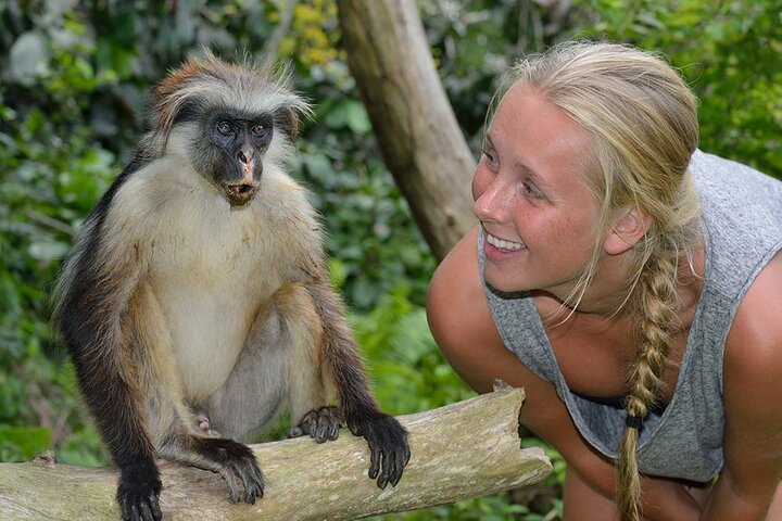 Private Tour to Jozani Forest Reserve Half-Day Guided Tour from Zanzibar - Photo 1 of 15