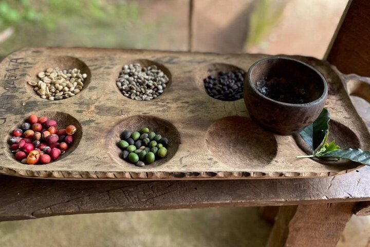  Private Tour to Marangu Waterfalls, Chagga Caves, Coffee tour & Hot Springs - Photo 1 of 7