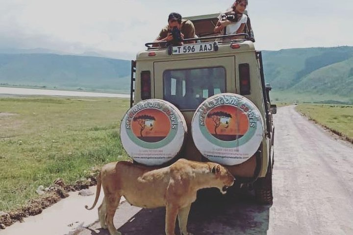 Pumba Tanzania Safari - Photo 1 of 9