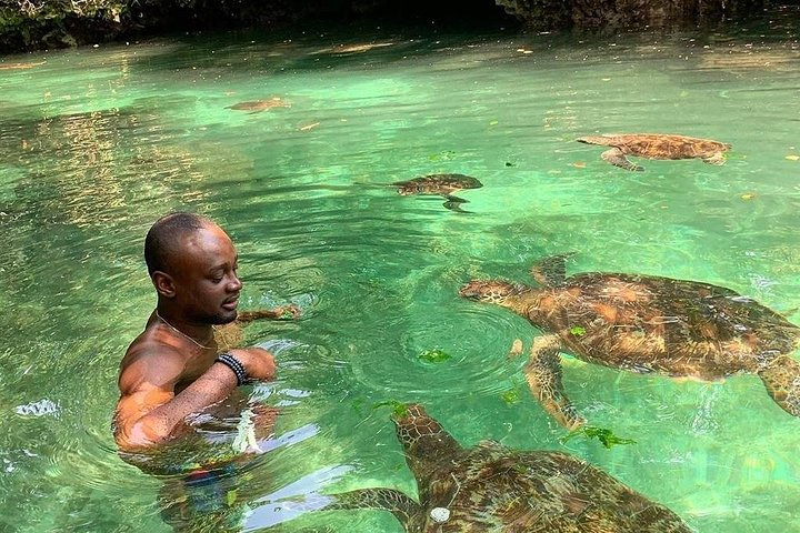  Zanzibar Adventures - Photo 1 of 7