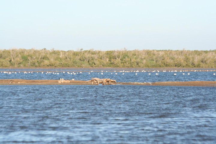 Saadani National park day trip from Dar es salaam - Photo 1 of 6