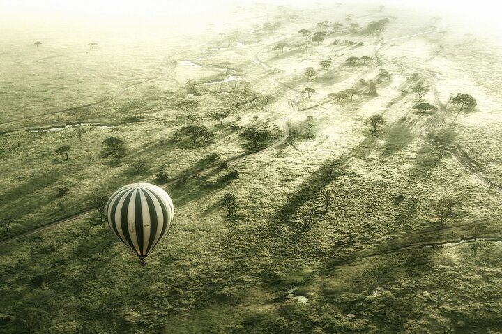 From zanzibar ~ 3 days (fly in-fly out) in Serengeti + Balloon  - Photo 1 of 15