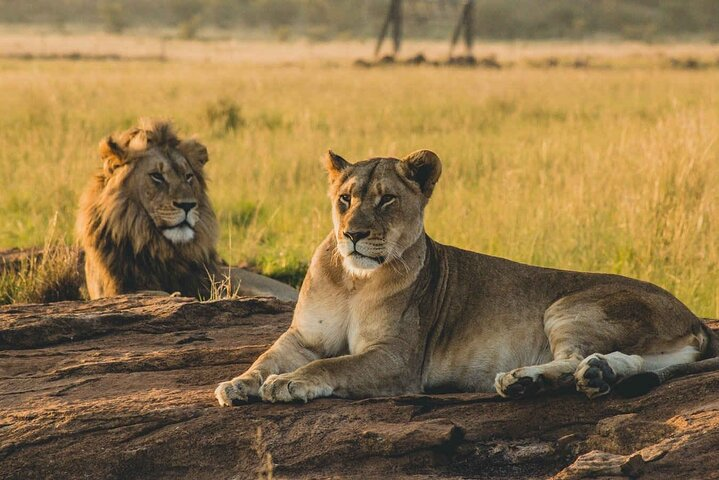 1 Day private Safari to Mikumi N park from Zanzibar by flight - Photo 1 of 15