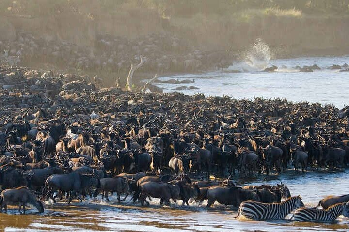  5 Days Tanzania Safari Great Wildebeest Migration  - Photo 1 of 7