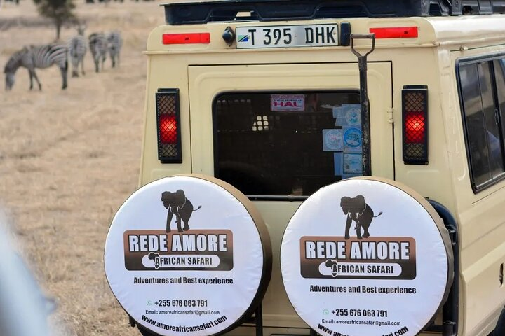 Safari Experience in Serengeti 