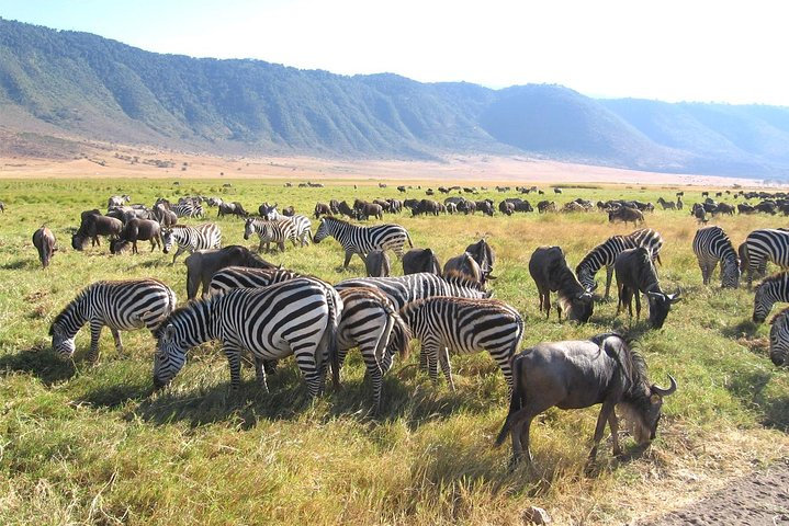 Inside Ngorongoro Crater In Tanzania