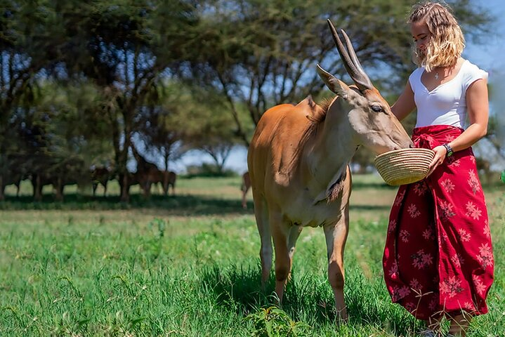 Serval wildlife ,Materuni waterfall and coffee tour - Photo 1 of 5