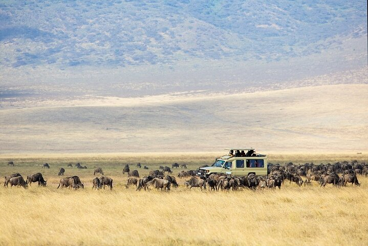 2-Day Zanzibar to Ngorongoro Experience of a Life Time - Photo 1 of 9