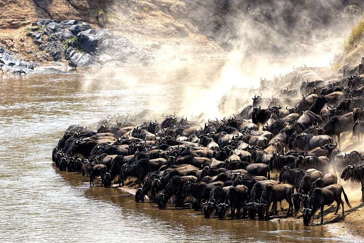 Mara river crossing