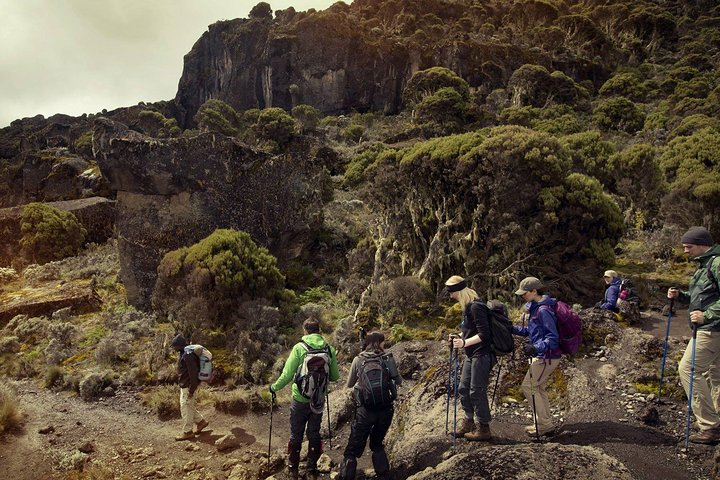 6Days _Hiking _Machame _Route _Kimanajaro _Mountain  - Photo 1 of 7