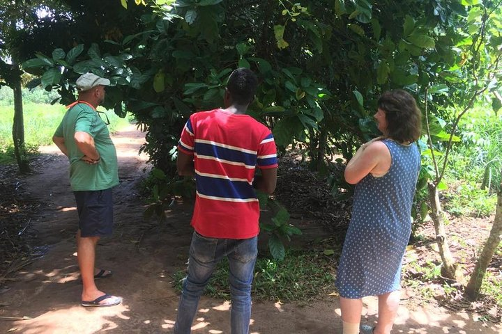 Spice Farm Tour