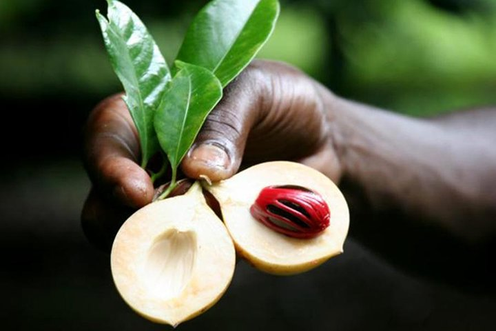 Spice Tour - Photo 1 of 12